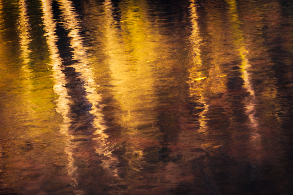 liquid gold | impressionist reflections on the River Earn | Perthshire