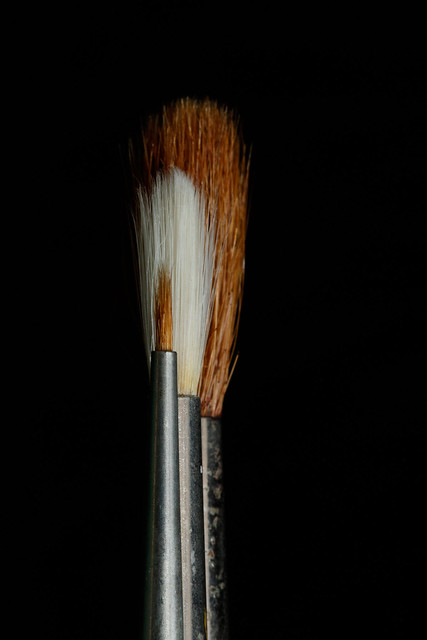 20200301_5277_7D2-100 Three Brushes (061/366)
