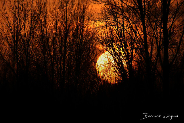 Coucher de soleil hivernal | Winter sunset