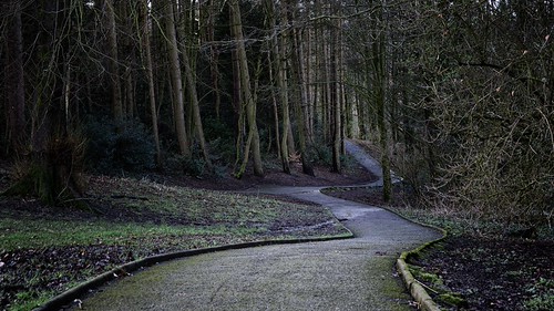 Brough park, Leek. | by F Woz