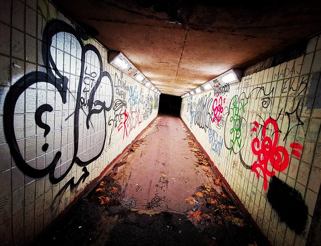 Newport graffitied subway ...