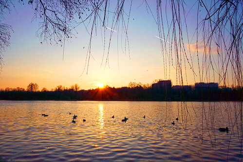 landscape bucurești românia sector3 sunset ior titan lake nature sun colors outdoor park birds samsungnxmini