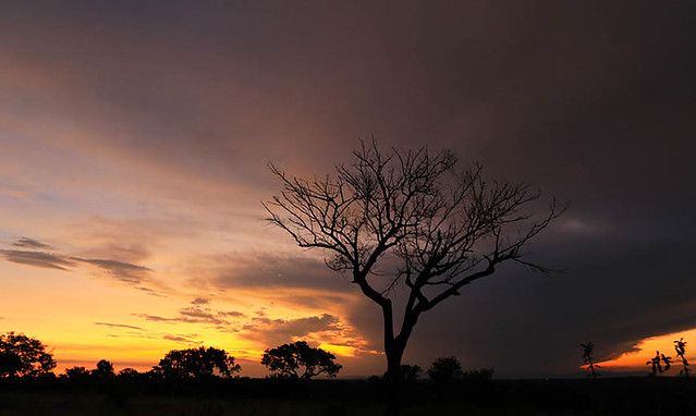 Sunset - Londolozi - South Africa