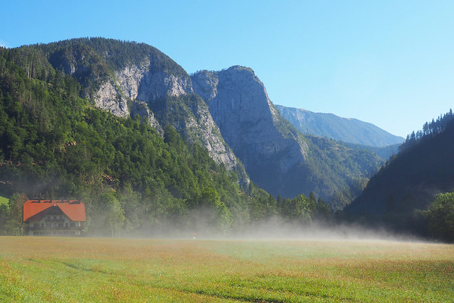 Steam rising from the grass in Logar Valley, Slovenia