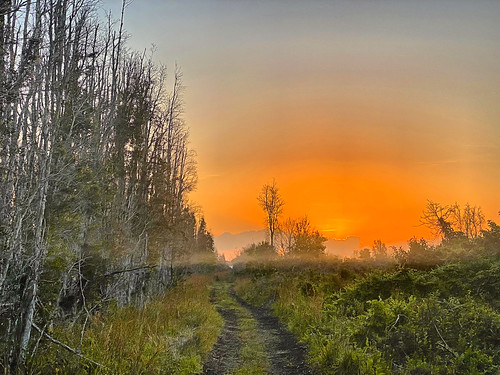 Fog lifting at sunrise over the Bar Ditch trail 02-20200303