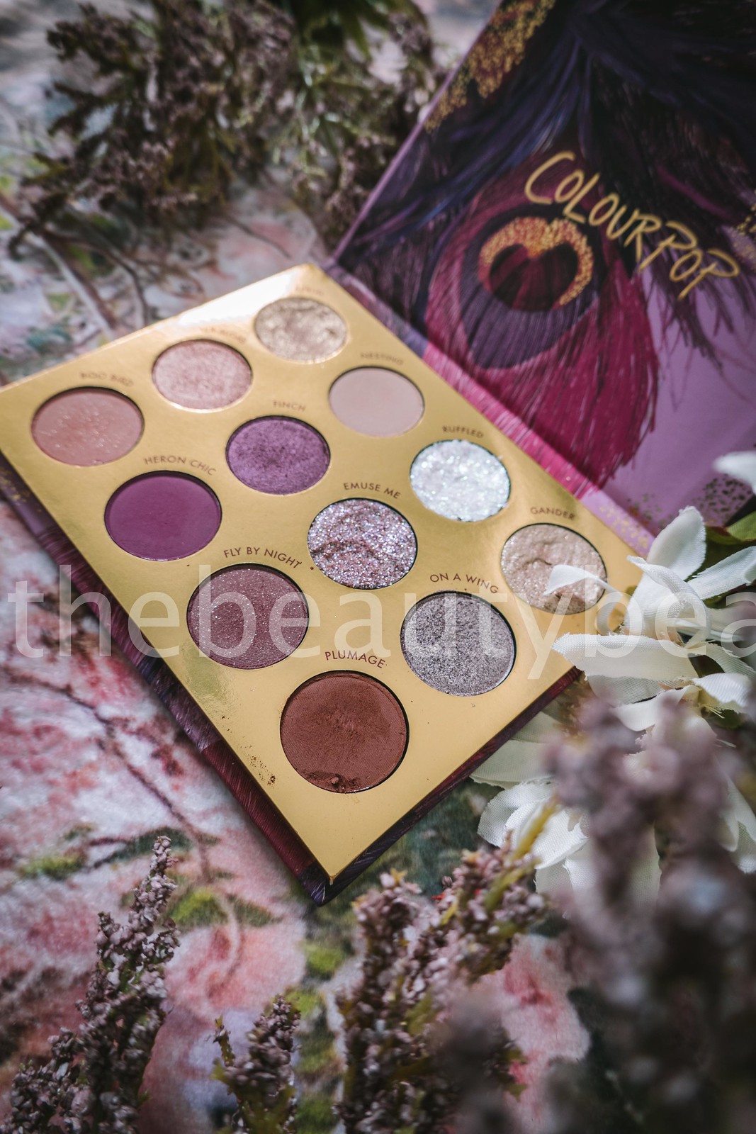 colourpop bye bye birdie review with swatches