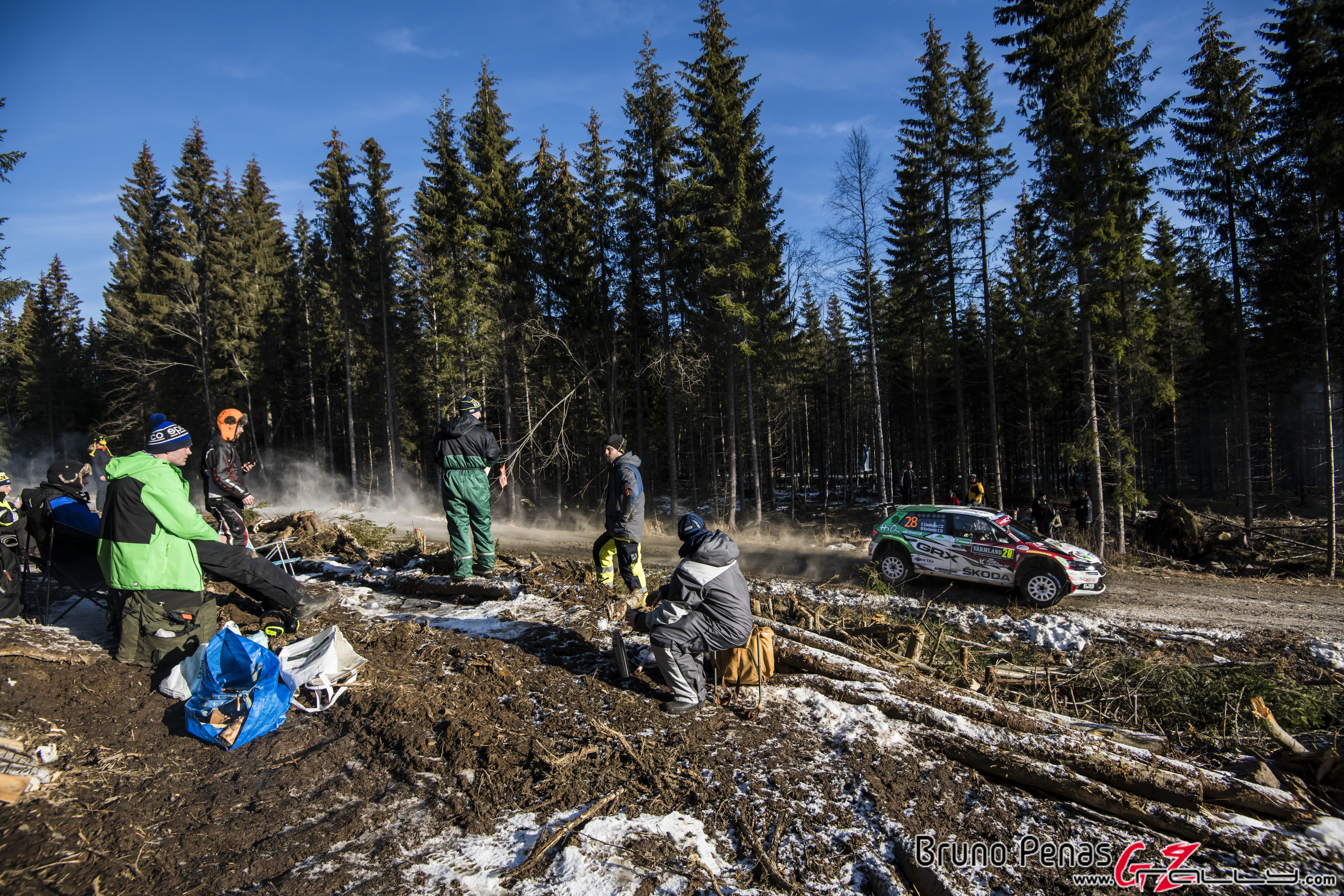 Rally Suecia WRC 2020 - Bruno Penas