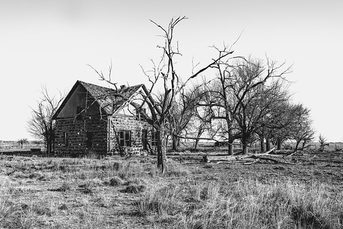 solemn d850 landscape blackwhite quiet trees abandoned barn monochrome creepy tree house colorado shack scary forgotten farm serious field lasanimas unitedstatesofamerica