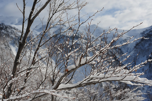 niigata d700 backcountry winter aisnikkor50mmf14 mountains 巻機山 snow 2020 japan mtmakihata white