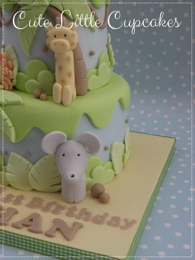 Safari 1st Birthday Cake