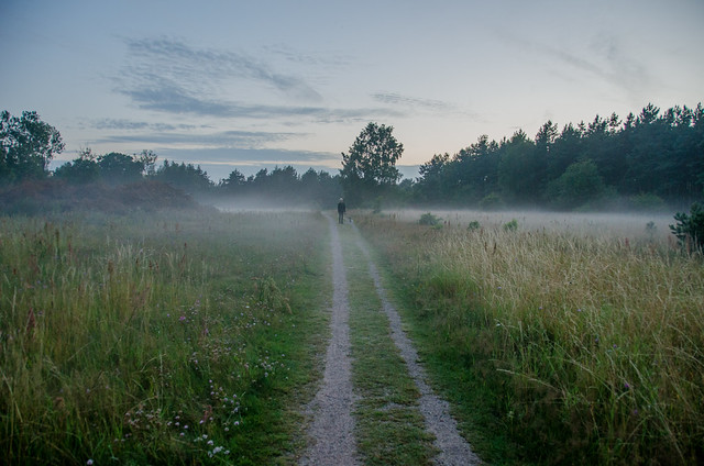Fog Skåne july 2017