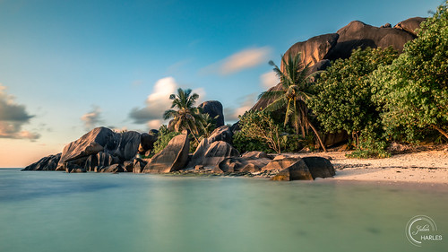 africa island seychelles ile isle sunset afrique leefilter sunsettime clouds longexposure palm plage tree cloud sourcedargent palmtree sunsetlight beach anse poselongue