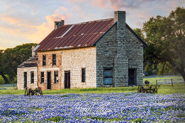 An evening with the bluebonnets at an abandoned farmhouse
