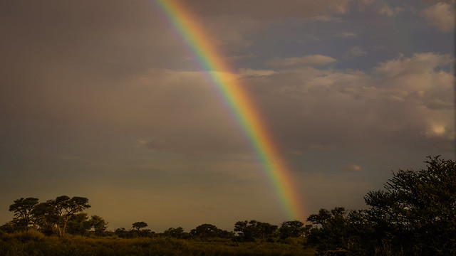 Rainbow in the green Kalahari