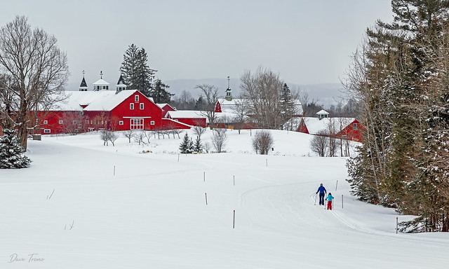 Skiing in Vermont