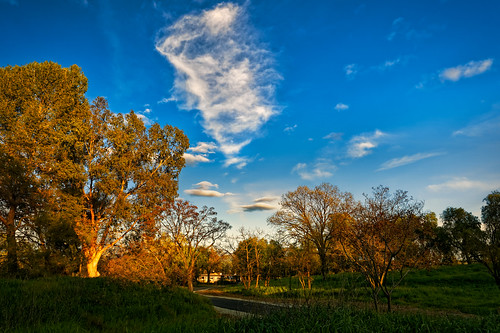 trees sunset clouds steve landscape omd olympus park