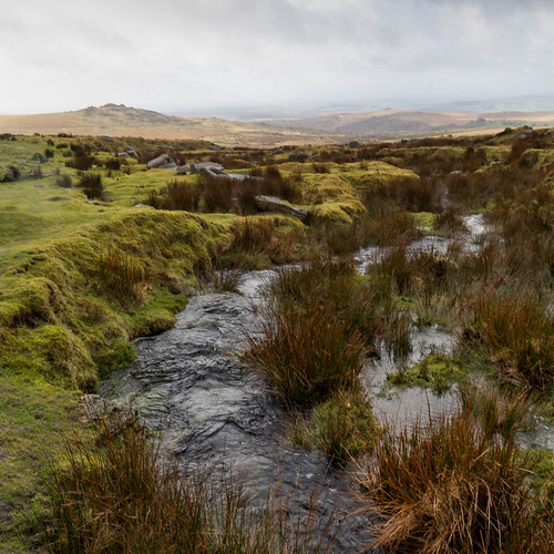 dartmoor devon southwest nationalpark steam tor hills reeds