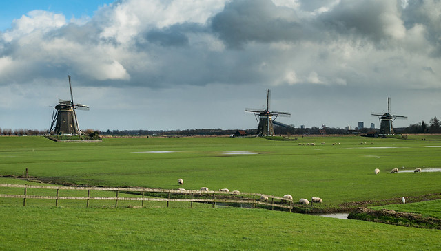 Early Spring in Holland