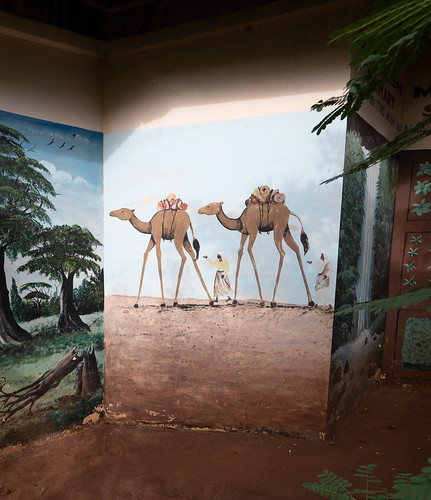 jaygalvin kilimanjaro kimochisecondaryschool safaritrip school tanzania art camel desert mural public street urban wallart moshi kilimanjaroregion exif:focallength=7mm camera:make=panasonic geo:country=tanzania geo:state=kilimanjaroregion camera:model=dcgx9 exif:model=dcgx9 exif:make=panasonic exif:aperture=ƒ56 geolocation exif:isospeed=200 geo:city=moshi geo:lat=33644597647867 geo:lon=37414208268815 exif:lens=lumixgvario714f40