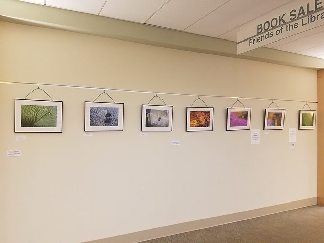 Durham County Library Exhibit - Framed Photos