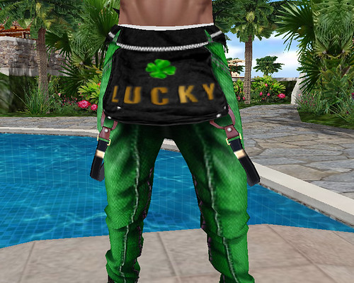 Lucky Green Fallen Overall Suspender Pants Front (M)