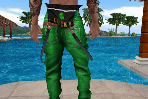 Lucky Green Fallen Overall Suspender Pants Back (M)