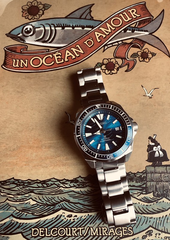 Seiko save the ocean owner's club - Page 2 49633859082_e225bd4c20_c