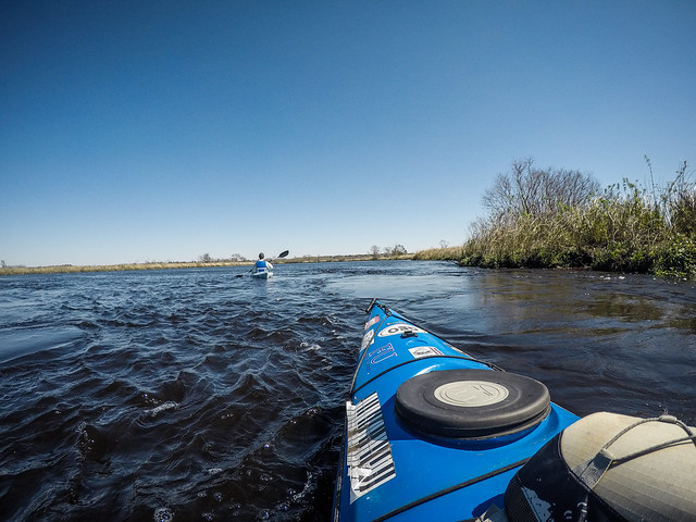 Edisto River - Penny Creek to Willtown Landing