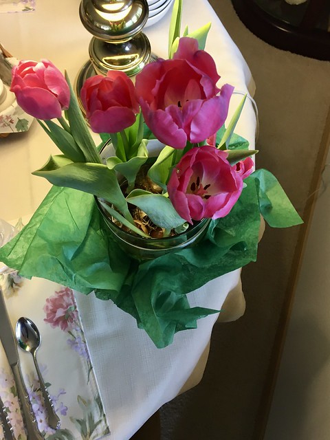 67/366: Happy Tulips