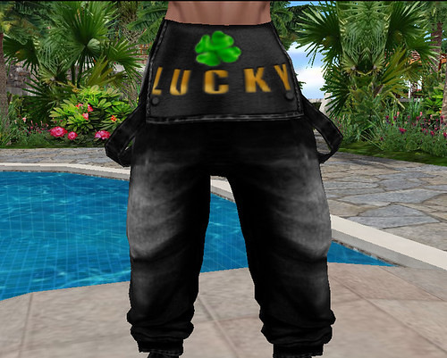 Lucky Black Baggy Fallen Overalls Suspender Pants Front (M)