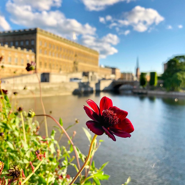 Stockholm - Sweden - 21/06/2019