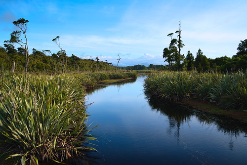 water river creek lake mahinapua outdoors flax untouched relaxing