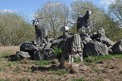 Wellsford Goats