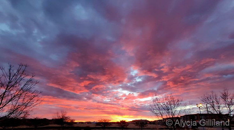 The first sunrise of March 2020 is a stunner. (Alycia Gilliland)