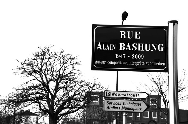 Alain Bashung 1947 - 2009