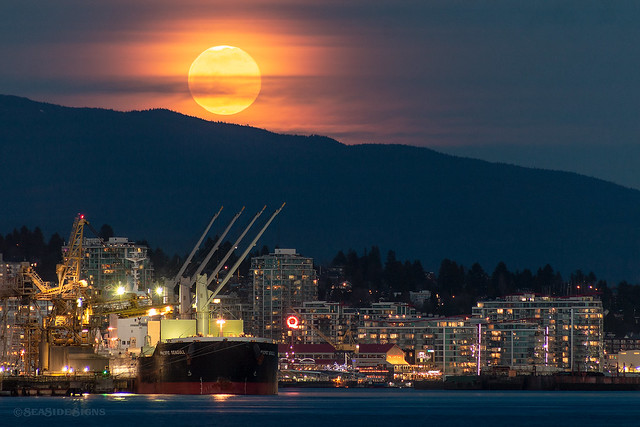🌚 Lunar Lonsdale 🌝 ~ North Vancouver, BC