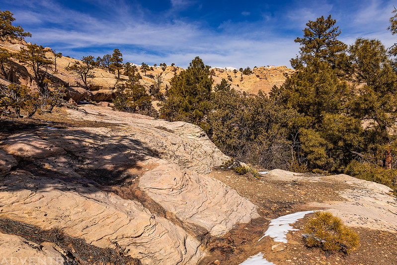 Mesa Top Trail View