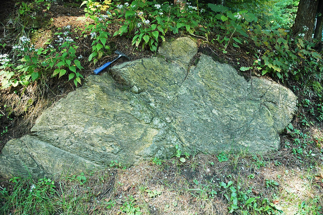 Serpentinite (East Dover Ultramafic Body, Ordovician; roadcut southwest of East Dover, Vermont, USA) 1