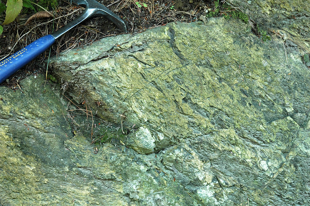 Serpentinite (East Dover Ultramafic Body, Ordovician; roadcut southwest of East Dover, Vermont, USA) 2