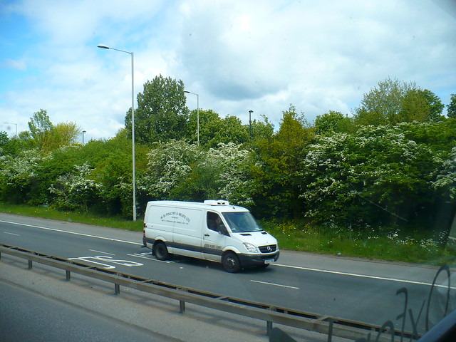 White bushes and a van in Hillingdon