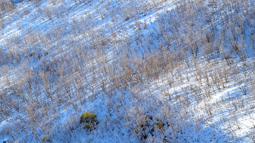 eechillington mountolympus nikond7500 viewnxi utah hiking snow patterns vista