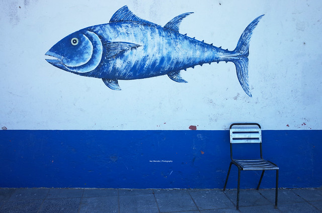 Blue Fish by Antoni Gabarre at Sancti Petri