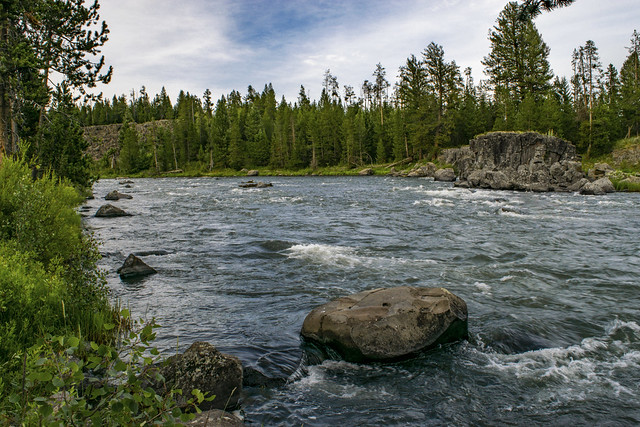 July on the Henry's Fork of the Snake River