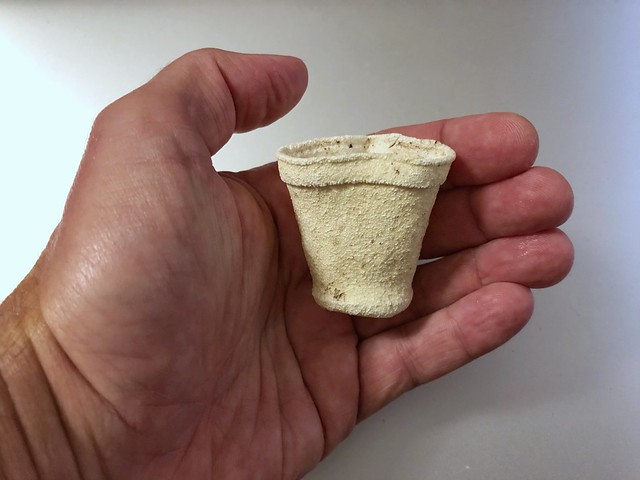 Compressed Styrofoam cup, Okinawa