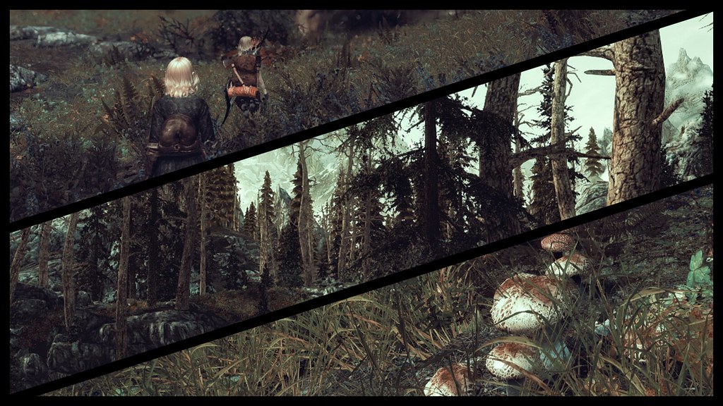 SC 2439-25 - Rilinn the Younger - Forest of Falkreath - Collage