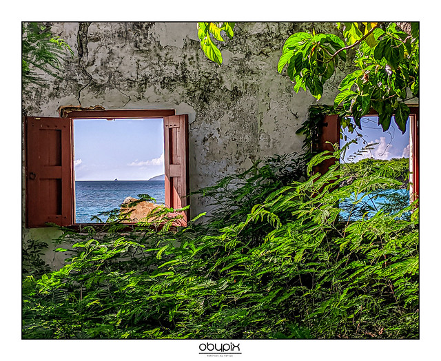A window to paradise