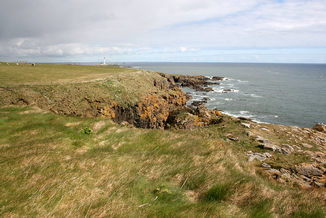 The coast south of Aberdeen