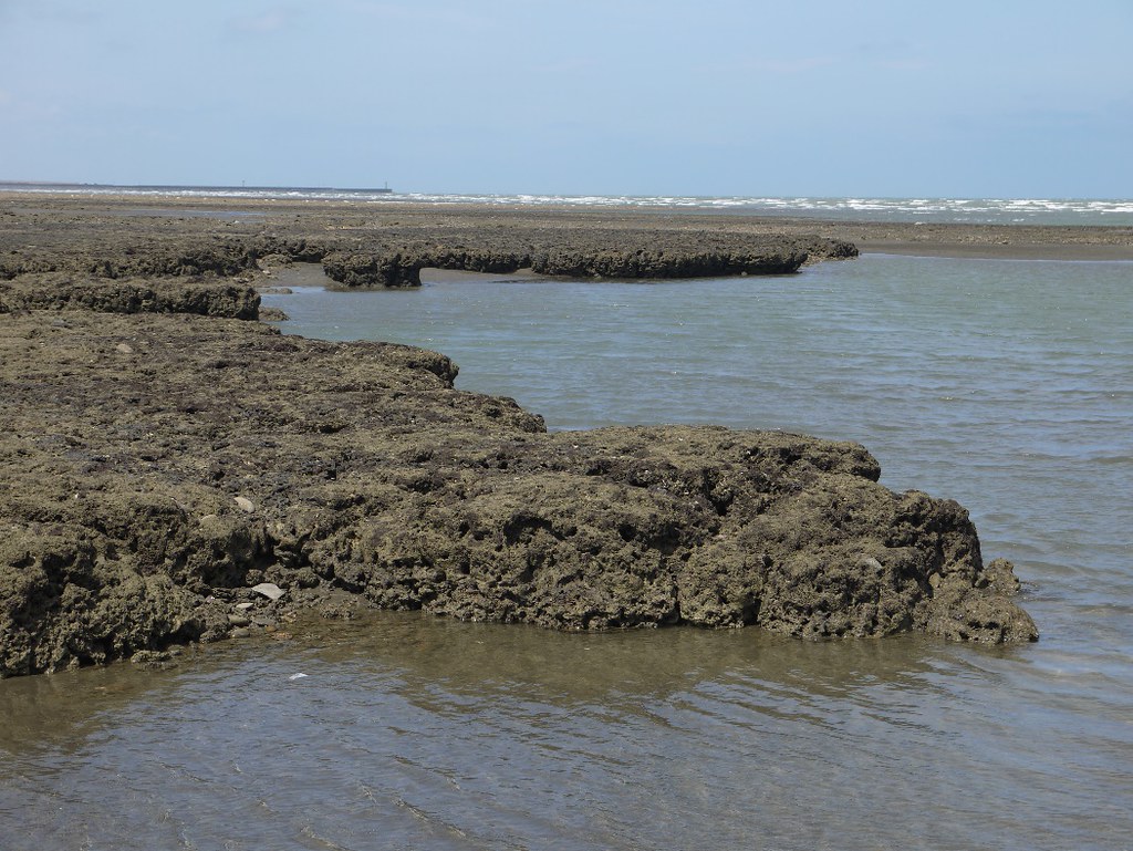 圖8：2014年林務局依野動法公告了「觀新藻礁生態系野生動物重要棲地環境」