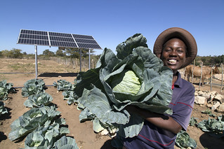 Solar powered irrigation in Zimbabwe | by IWMI Flickr Photos