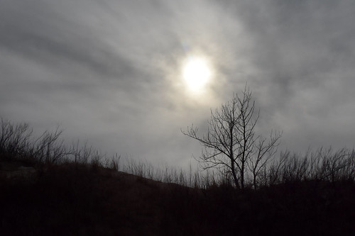 A Hazy Shade of Winter | by Clint Midwestwood